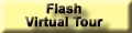 Flash Version